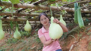 harvest agricultural products cucurbits eggplants bring to the market to sell Triệu Thị Phương [upl. by Wesley108]