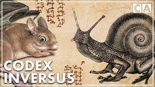 The Creatures of Codex Inversus [upl. by Brandt326]