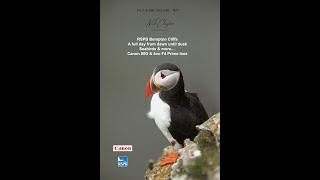 RSPB Bempton Cliffs  A dawn till dusk experience [upl. by Rickard]