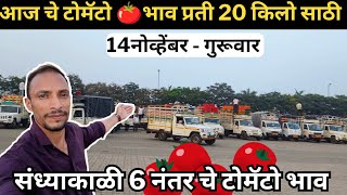 Tamatar 🍅 ki market price today  Tamatar farming in india 2024 tamatar [upl. by Onitsuaf]