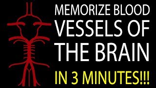 MNEMONIC Brains Blood Supply MEMORIZE in 3 Minutes [upl. by Hayotal]