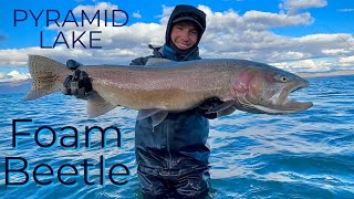 PYRAMID LAKE  Fly Fishing  16 pound Cutthroat Trout [upl. by Ingemar]