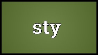 Sty Meaning [upl. by Joni]