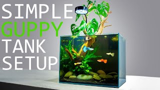 How to Setup a Simple Guppy Fish Tank TUTORIAL [upl. by Heuser992]