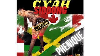 Phenique Cyah Siddung Official Audio [upl. by Yar604]