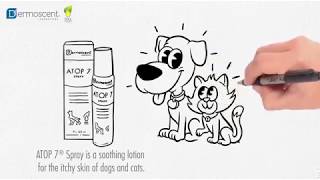 ATOP 7® Spray  antiitch spray dogs cats [upl. by Pallaton]