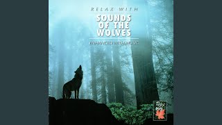 RELAX WITH SOUND OF THE WOLVES [upl. by Forest49]