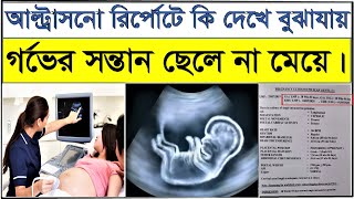 How to know baby boy or girl in Ultrasound reportআল্ট্রাসনো রিপোর্ট বলে দিবে সন্তান ছেলে না মেয়ে [upl. by Riegel639]