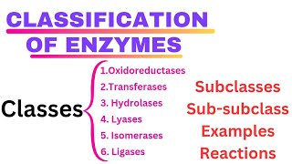 Classification of Enzymes Class Subclass Subsubclass  example with Enemonics Enzymology [upl. by Atteniuq348]