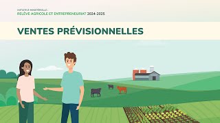 Outil de prévisions budgétaires  onglet Ventes prévisionnelles [upl. by Harrod]