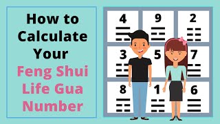 How to Calculate Your Feng Shui Life Gua Number  Feng Shui Basics for Beginners Guide fengshui [upl. by Atikaj]