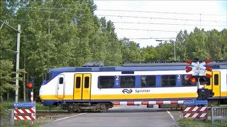 Spoorwegovergang Maastricht  Dutch railroad crossing [upl. by Ephrem551]