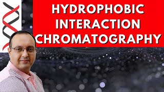 Hydrophobic Interaction Chromatography [upl. by Euginimod]