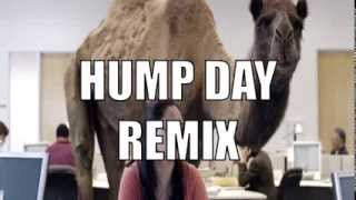 Geico Hump Day Commercial  Happy Camel Dubstep Remix [upl. by Anaujait]