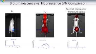 Basics Of Optical Imaging In Vivo  Part I Tissue Optics [upl. by Nahsor]