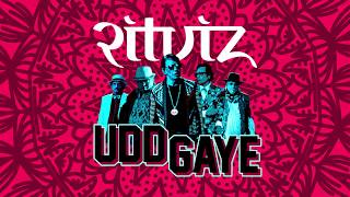 Ritviz  Udd Gaye Official Audio [upl. by Auliffe]