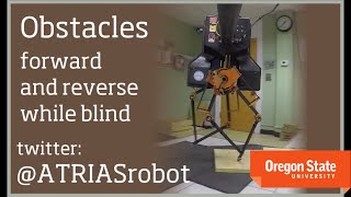 ATRIAS Robot Walking on an Obstacle Course  ForwardReverse while Blind [upl. by Arlen]