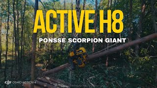 Ponsse  Active H8  Pine [upl. by Nylyrehc]