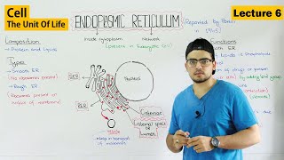 Endoplasmic Reticulum structure and functions  Video 6 [upl. by Falcone]