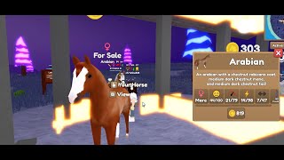 Chestnut Rabicano Arabian For Sale for Cheap  Wild Horse Islands  ROBLOX [upl. by Kinsman617]