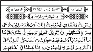 Surah Yaseen Yasin surah ar rahmanampsurah al mulk Full with Arabic HDسورہ یٰس 36recitation QN0107 [upl. by Siloum]