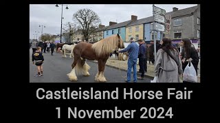 Castleisland Horse Fair 1 November 2024 [upl. by Rybma646]