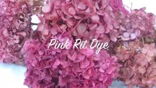 How To dry Hydrangeas amp How to Color Hydrangeas [upl. by Ydissahc379]