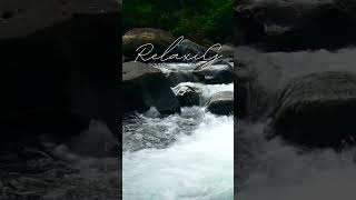 quotFeel Calm in 60 Seconds  River Sound Therapyquot asmr [upl. by Eagle]