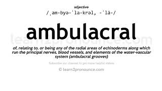 Pronunciation of Ambulacral  Definition of Ambulacral [upl. by Eesdnyl]