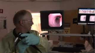 Using a Bronchial Scope for a Bronchoscopy at Christian Hospital in St Louis Missouri [upl. by Attelliw]