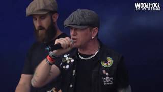 The Rumjacks  Uncle Tommy Live at Woodstock Festival Poland 2016 [upl. by Ametaf595]