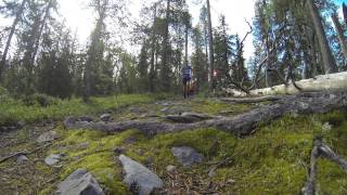 Buff Trail Tour Finland – Pyhä Tunturimaraton 43k [upl. by Eednas]