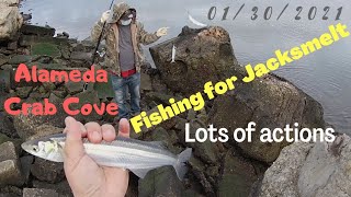 Fishing for Jacksmelt at Alameda Crab Cove [upl. by Karee]