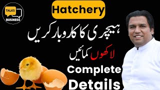 How to Start a Hatchery Business at Home in Pakistan  Ultimate Guideline for Beginners [upl. by Hubsher]