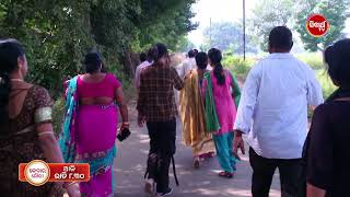 Kedara Gouri  କେଦାର ଗୌରୀ  14th Nov 2024 Promo 238 830pm  Mega Serial on SidharthTV [upl. by Zack]