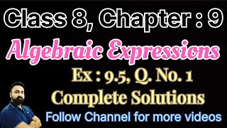 Class 8 Maths Chapter  9  Algebraic Expressions Ex  95 Q No 1 Complete Solution [upl. by Durrej]