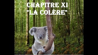 Chapitre XI quotLa Colèrequot Histoire Fantastique pour Petits et Grands Livre audio [upl. by Rekcut]