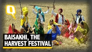 The Quint The Story of Baisakhi Bihu And India’s Harvest Festivals [upl. by Neil]