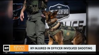 K9 injured in officer involved shooting [upl. by Eelinej]