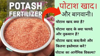 Potash Fertilizer क्या है Potash कब कितना और कैसे इस्तेमाल करे अपने पौधों पर Potash खाद के फायदे। [upl. by Mareld137]