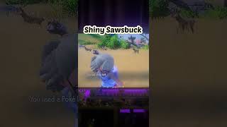 Shiny Sawsbuck pokemonviolet pokemon switchgames sawsbuck [upl. by Ahtabbat]