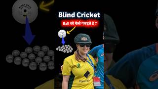 Blind Cricket cricket cricketshorts Cricket Highlights [upl. by Ensoll]