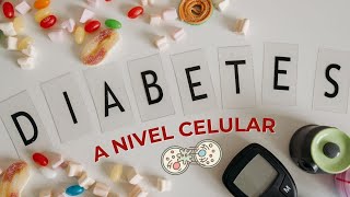 Diabetes Tipos y causas💉 [upl. by Llehsim]