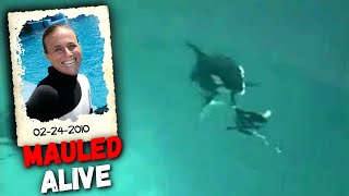 HORRIFYING Footage of Killer Whale Fatally Mauling Trainer Dawn Brancheau [upl. by Giffer]