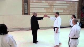 Aikido Judo at a Distance Part 1 [upl. by Attikin]