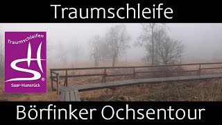 Traumschleife Börfinker Ochsentour  Premiumwandern  Nationalpark HunsrückHochwald  54422 Börfink [upl. by Ynottirb]