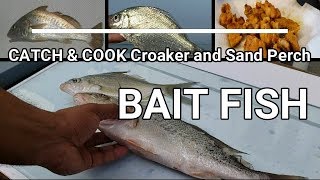 Catch and Cook Croaker [upl. by Lida836]