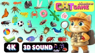 CAT Games Adventures  Ultimate Cat TV Compilation Vol 33  SPECIAL EPISODE 8 HOURS🐝🐞🦋🦎🦜🐜🐭🧵 NO ADS [upl. by Akyssej130]