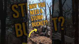 WHY YOU NEED a STUMP BUCKET for fast removal of Trees [upl. by Yecart562]