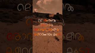 പനയോലയിൽ ഒരു കുടിലാണെ  panayolayil oru kuTilaane  new lyrics statusvideo album [upl. by Notsle]